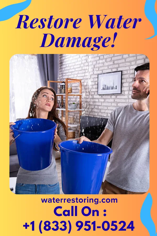 water restoration Prestige Storm Recovery Services Bogue