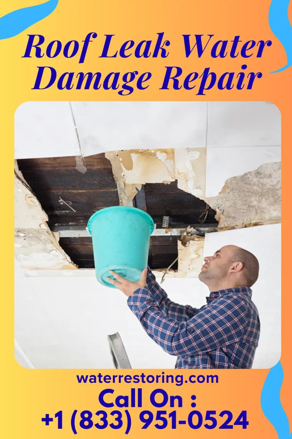 Roof Leak Water Damage Repair in Bogue, NC