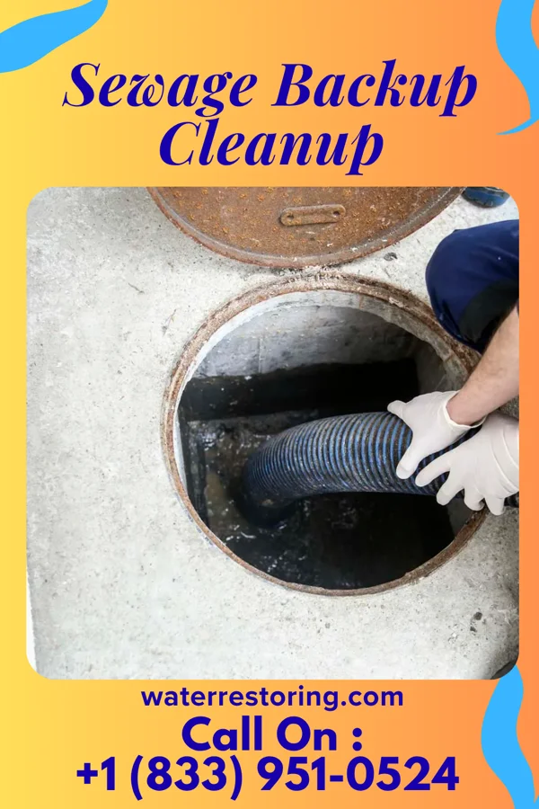 Sewage Backup Cleanup in Bogue, NC