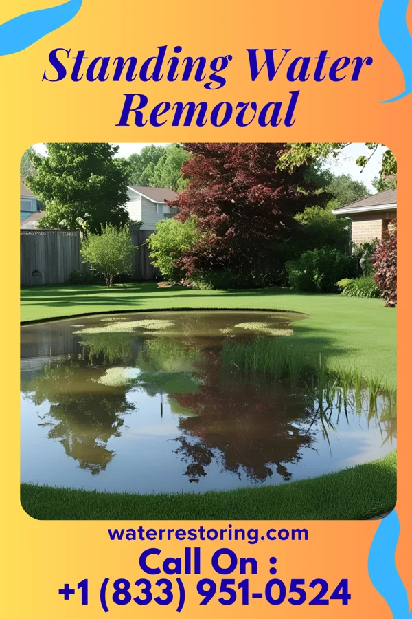 Standing Water Removal in Bogue, NC